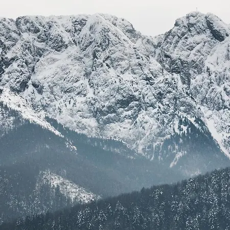 Szymaszkowa 3 By Homeprime * Zakopane